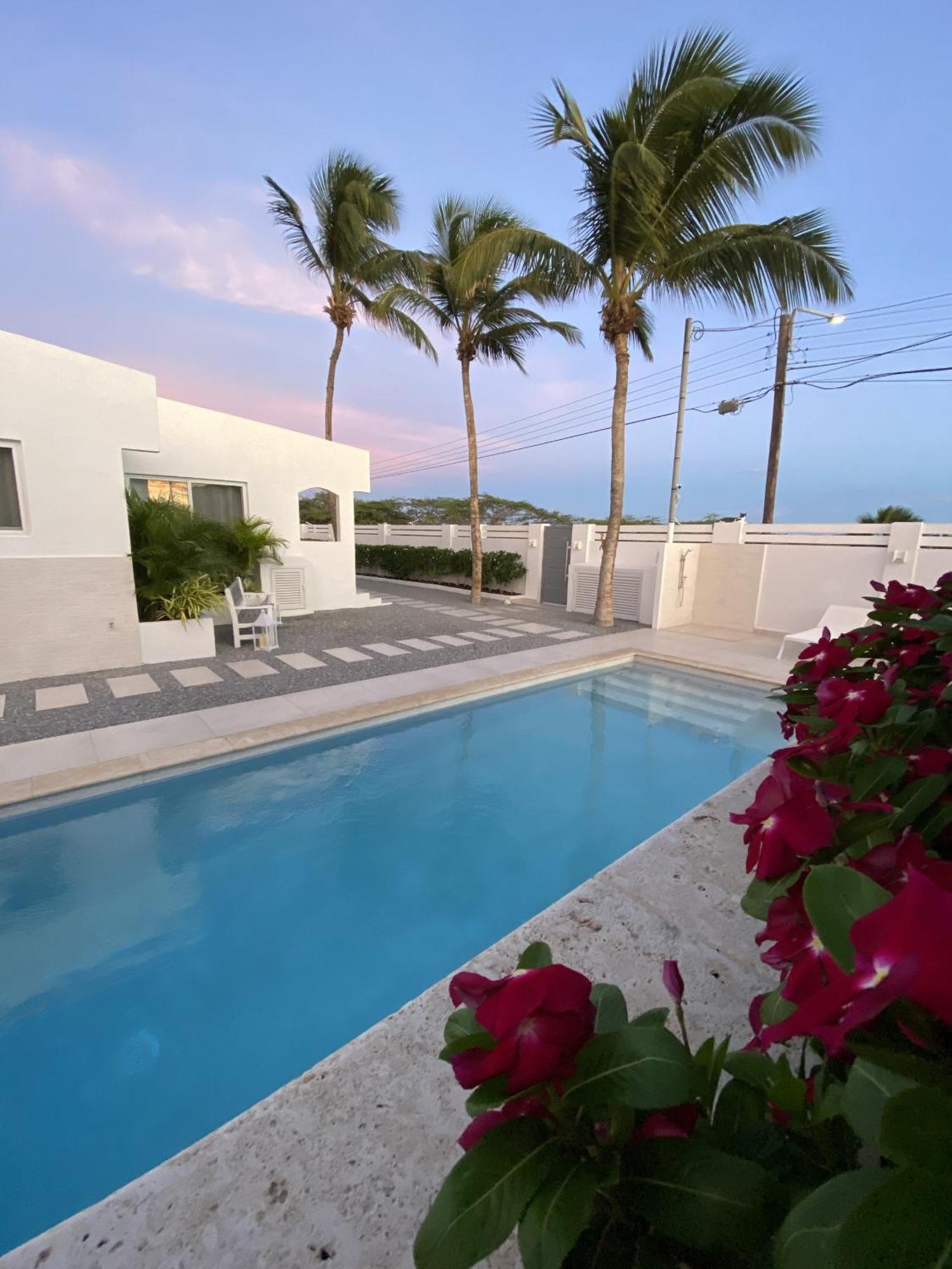 Movida Inn Aruba Palm Beach Room photo