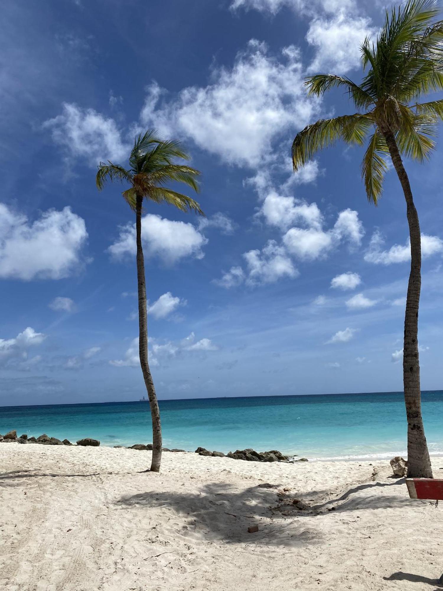 Movida Inn Aruba Palm Beach Room photo