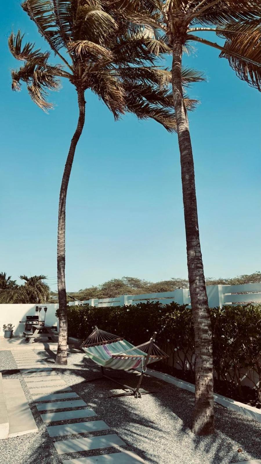 Movida Inn Aruba Palm Beach Exterior photo